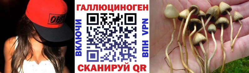 цена   Черногорск  Галлюциногенные грибы Magic Shrooms 